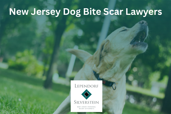 NJ Dog Bite Scar Lawyers