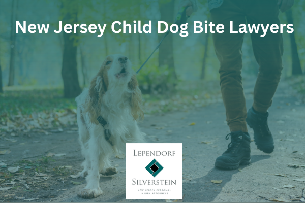 New Jersey Child Dog Bite Lawyers