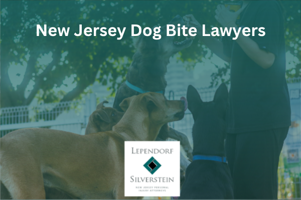 New Jersey Dog Bite Lawyers